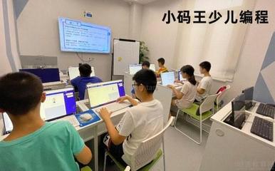 成都小码王少儿编程 网络投资管理与咨询